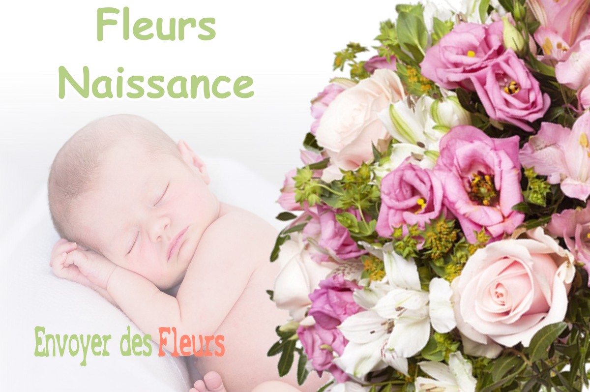 lIVRAISON FLEURS NAISSANCE à BAALON